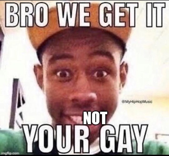 bro we get it, your gay | NOT | image tagged in bro we get it your gay | made w/ Imgflip meme maker