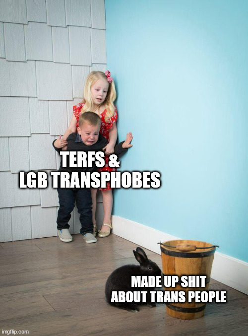 Fabricated Outrage | TERFS &
LGB TRANSPHOBES; MADE UP SHIT ABOUT TRANS PEOPLE | image tagged in kids afraid of rabbit | made w/ Imgflip meme maker