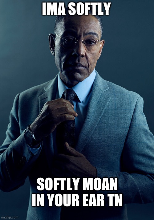 Gus Fring we are not the same | IMA SOFTLY; SOFTLY MOAN IN YOUR EAR TN | image tagged in gus fring we are not the same | made w/ Imgflip meme maker