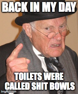 Back In My Day Meme | BACK IN MY DAY TOILETS WERE CALLED SHIT BOWLS | image tagged in memes,back in my day | made w/ Imgflip meme maker