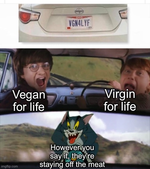 No meat? | Virgin for life; Vegan for life; However you say it, they’re staying off the meat | image tagged in tom chasing harry and ron weasly,meat,vegan,virgin,life | made w/ Imgflip meme maker