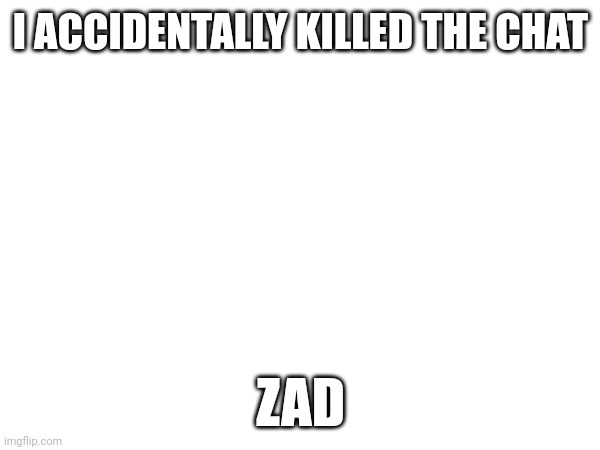 I ACCIDENTALLY KILLED THE CHAT; ZAD | made w/ Imgflip meme maker
