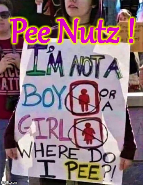 To pee or not to pee ! | Pee Nutz ! | image tagged in question | made w/ Imgflip meme maker