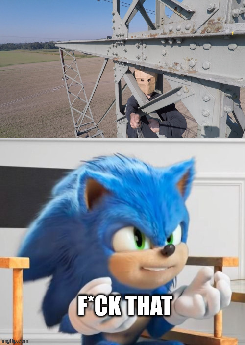 Sonic the hedgehog meet lattice climber in germany | F*CK THAT | image tagged in sonic,sonic the hedgehog,urban climbing,lattice climbing,template,baghead | made w/ Imgflip meme maker