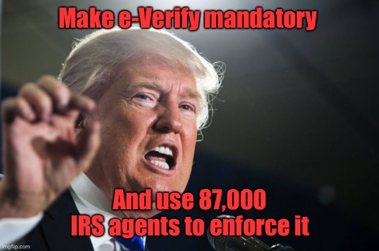 Mandatory e-Verify works. Make it federally mandatory. | Make e-Verify mandatory; And use 87,000 IRS agents to enforce it | image tagged in donald trump,e verify,mandatory,irs agents,87 thousand | made w/ Imgflip meme maker