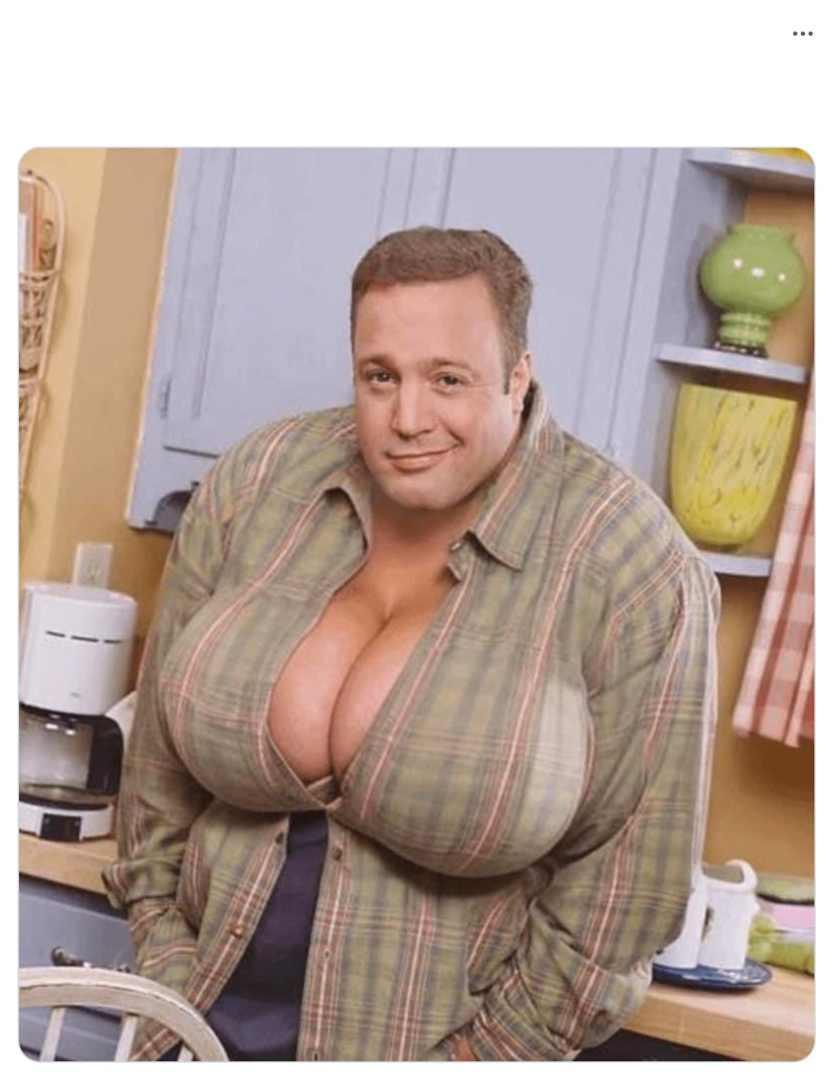 Kevin James with boobs Blank Meme Template