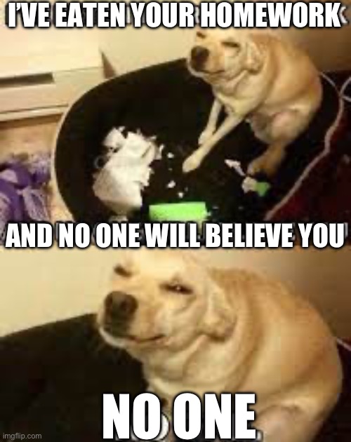 My dog ate my homework FR | I’VE EATEN YOUR HOMEWORK; AND NO ONE WILL BELIEVE YOU; NO ONE | image tagged in funny | made w/ Imgflip meme maker