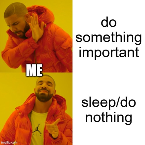 Drake Hotline Bling | do something important; ME; sleep/do nothing | image tagged in memes,drake hotline bling | made w/ Imgflip meme maker