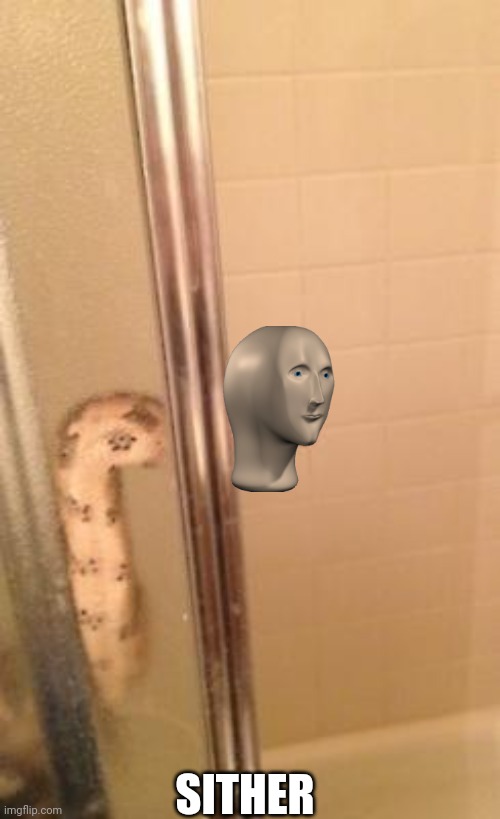 snakeshower | SITHER | image tagged in snakeshower | made w/ Imgflip meme maker