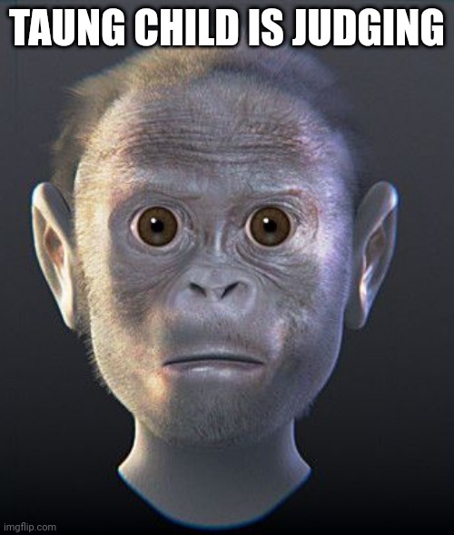 The taung child 1000sth yard stare | TAUNG CHILD IS JUDGING | image tagged in judging | made w/ Imgflip meme maker