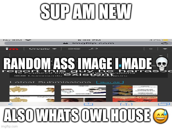 HFJXKODJFJKEF HHCIEQCcbdfcjvdvjvj(owner: it's the best show ever) | SUP AM NEW; RANDOM ASS IMAGE I MADE 💀; ALSO WHATS OWL HOUSE 😅 | image tagged in blank white template | made w/ Imgflip meme maker