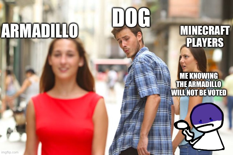 Distracted Boyfriend Meme | ARMADILLO; DOG; MINECRAFT PLAYERS; ME KNOWING THE ARMADILLO WILL NOT BE VOTED | image tagged in memes,distracted boyfriend | made w/ Imgflip meme maker
