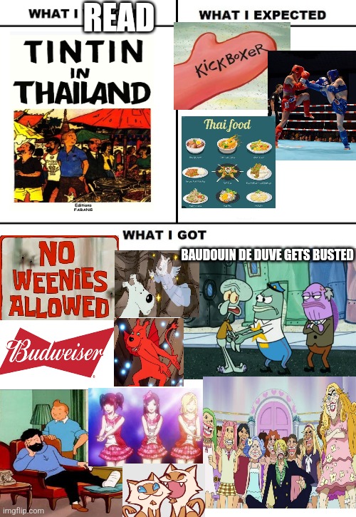 That bootleg Tintin book by Bud E. Weyser titled Tintin in Thailand was like the prototype version of Back Street Girls | READ; BAUDOUIN DE DUVE GETS BUSTED | image tagged in what i watched/ what i expected/ what i got,thailand,one piece,spongebob squarepants,budweiser | made w/ Imgflip meme maker