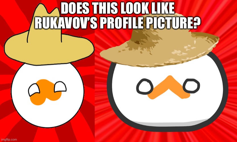 Does this look like Rukavov’s profile pic? | DOES THIS LOOK LIKE RUKAVOV’S PROFILE PICTURE? | image tagged in rukavov,countryballs | made w/ Imgflip meme maker