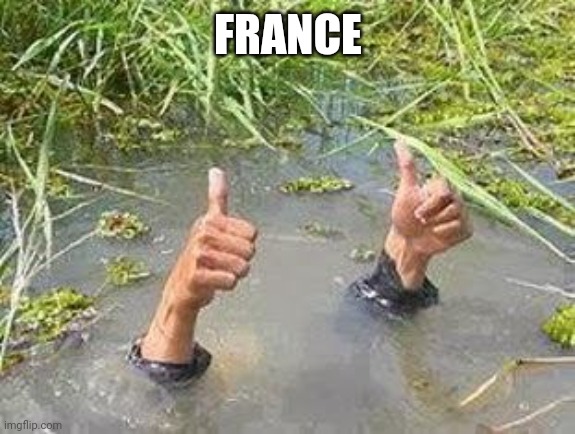 FLOODING THUMBS UP | FRANCE | image tagged in flooding thumbs up | made w/ Imgflip meme maker