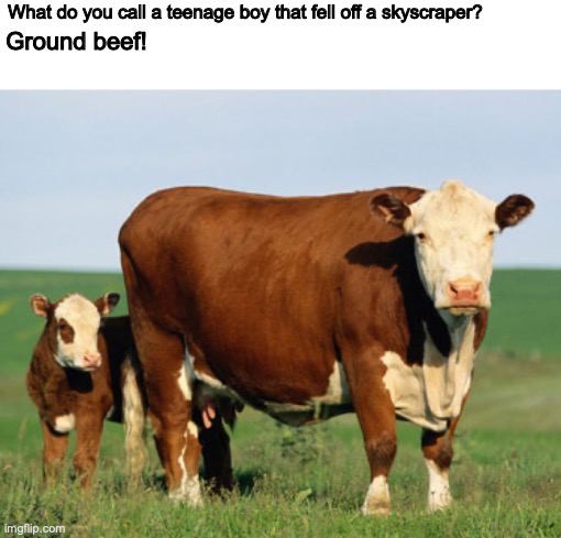 Get it now? | What do you call a teenage boy that fell off a skyscraper? Ground beef! | image tagged in beefcow1,hard drive,ssd,car urinating | made w/ Imgflip meme maker