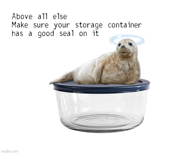 My seal of approval | image tagged in bad pun | made w/ Imgflip meme maker