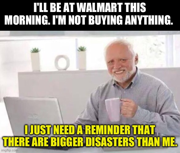 Walmart | I'LL BE AT WALMART THIS MORNING. I'M NOT BUYING ANYTHING. I JUST NEED A REMINDER THAT THERE ARE BIGGER DISASTERS THAN ME. | image tagged in harold | made w/ Imgflip meme maker
