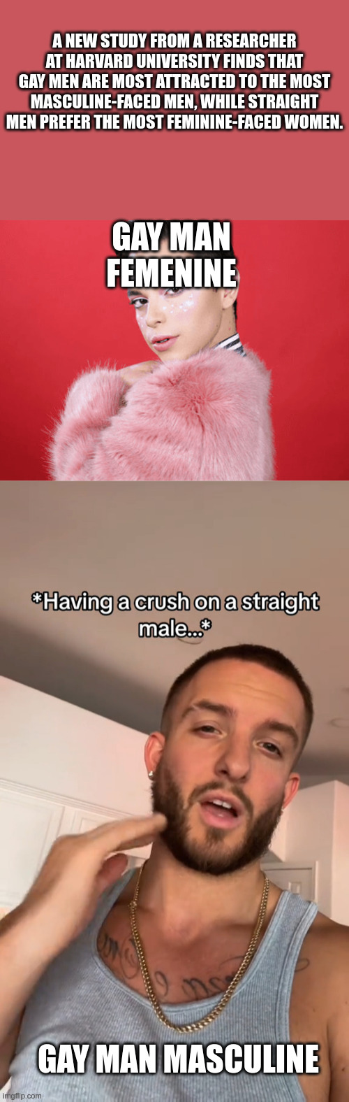 gay man | image tagged in homosexuality | made w/ Imgflip meme maker
