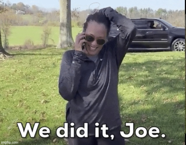 We did it Joe | image tagged in we did it joe | made w/ Imgflip meme maker