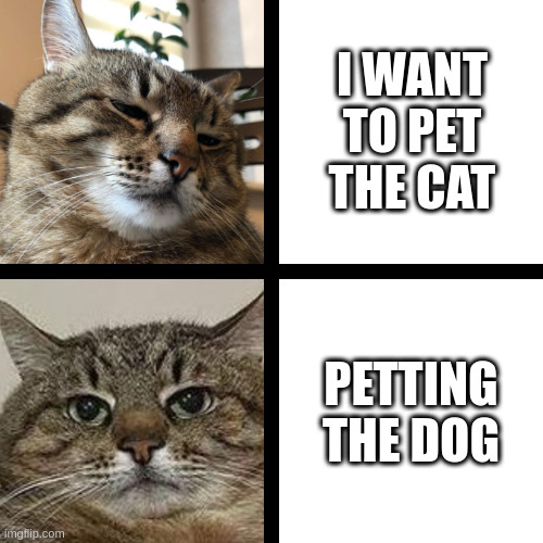 Petting the dog | I WANT TO PET THE CAT; PETTING THE DOG | image tagged in stepan cat,dog,pets,petting | made w/ Imgflip meme maker