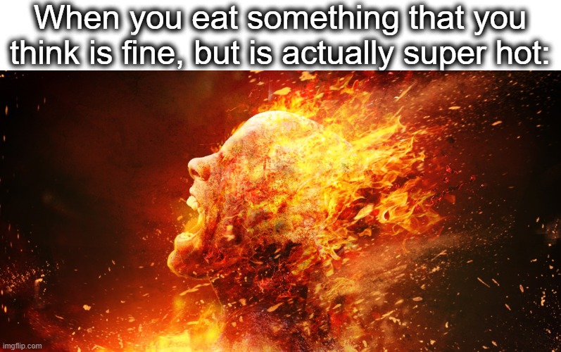 and you cant spit it out cuz then you look weird | When you eat something that you think is fine, but is actually super hot: | image tagged in burning face,face,ahhhhhhhhhhhhh,fire,food,lol | made w/ Imgflip meme maker