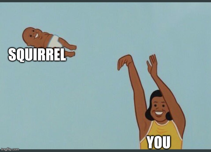 baby yeet | SQUIRREL YOU | image tagged in baby yeet | made w/ Imgflip meme maker