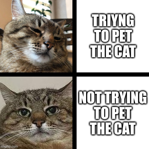 Not trying to pet the cat | TRIYNG TO PET THE CAT; NOT TRYING
TO PET
THE CAT | image tagged in stepan cat,pets,petting,try,reaction | made w/ Imgflip meme maker