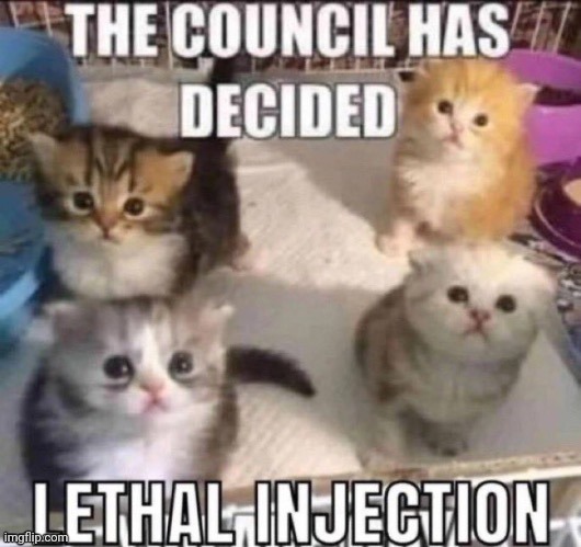 Lethal Injection | image tagged in lethal injection | made w/ Imgflip meme maker