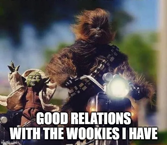 Ride Along | GOOD RELATIONS WITH THE WOOKIES I HAVE | image tagged in yoda,chewbacca,star wars | made w/ Imgflip meme maker