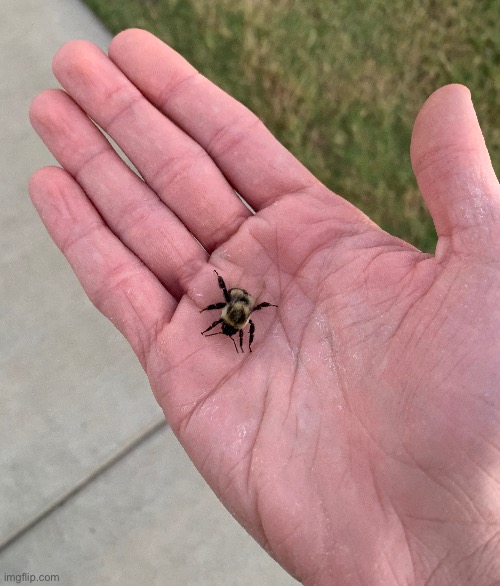 Little dude. | made w/ Imgflip meme maker