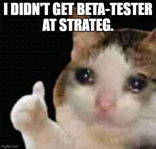 sad thumbs up cat | I DIDN'T GET BETA-TESTER
AT STRATEG. | image tagged in sad thumbs up cat | made w/ Imgflip meme maker