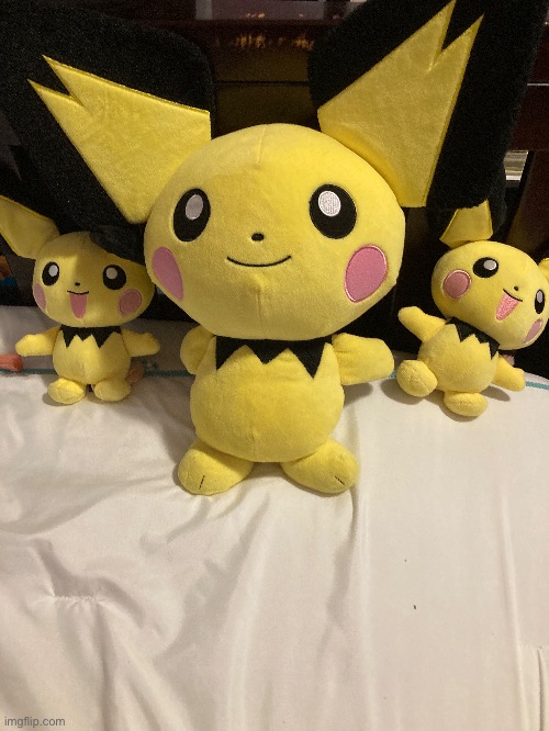 The Pichu Family | image tagged in pichuuuuu | made w/ Imgflip meme maker