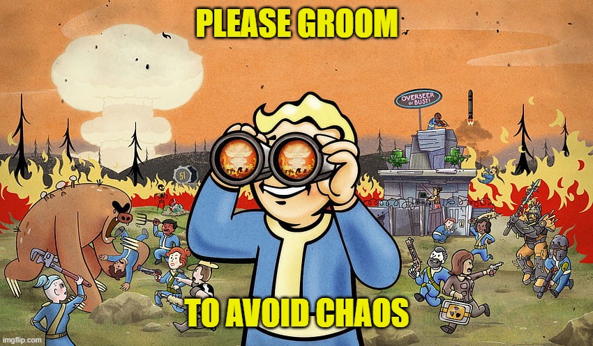 fallout aftermath | PLEASE GROOM; TO AVOID CHAOS | image tagged in fallout aftermath | made w/ Imgflip meme maker