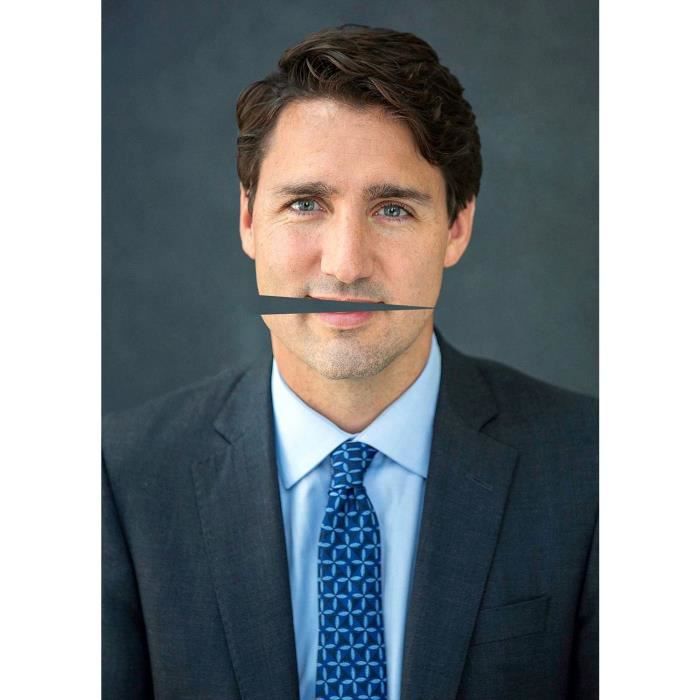 Justin Trudeau Canada Blank Meme Template