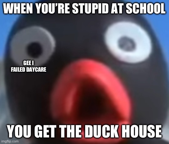 Failing Daycare Be like | WHEN YOU’RE STUPID AT SCHOOL; GEE I FAILED DAYCARE; YOU GET THE DUCK HOUSE | image tagged in pingu s dad pog face,school | made w/ Imgflip meme maker