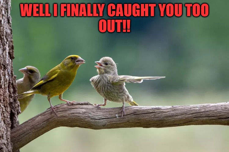 busted! | WELL I FINALLY CAUGHT YOU TOO
OUT!! | made w/ Imgflip meme maker