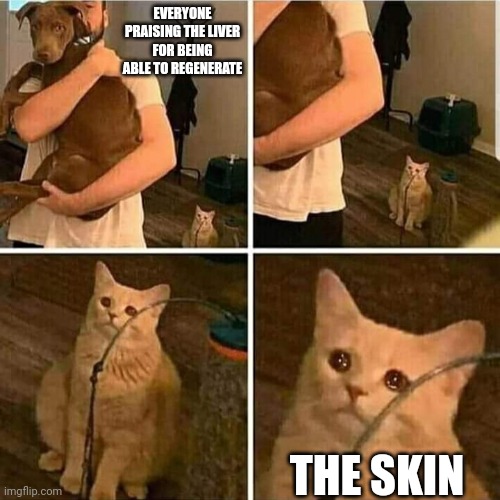 Sad Cat Holding Dog | EVERYONE PRAISING THE LIVER FOR BEING ABLE TO REGENERATE; THE SKIN | image tagged in sad cat holding dog | made w/ Imgflip meme maker