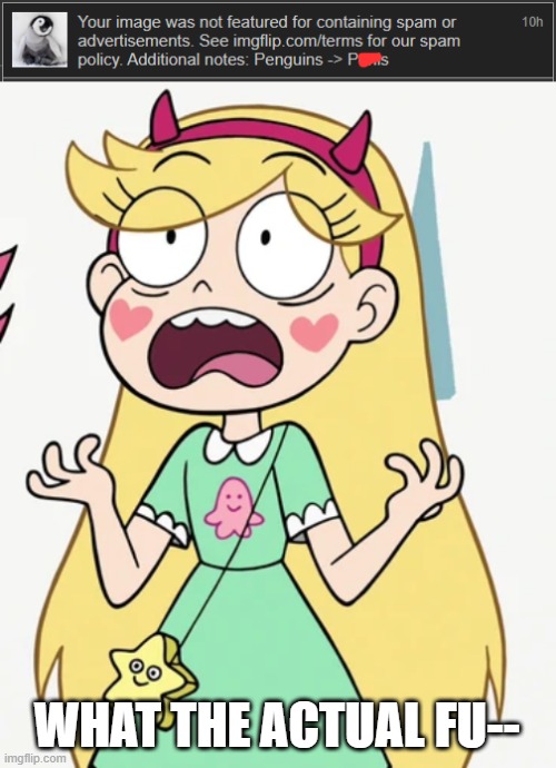 No. This is absolutely wrong. | WHAT THE ACTUAL FU-- | image tagged in star butterfly freaked out | made w/ Imgflip meme maker