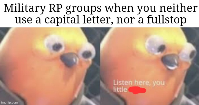I remember playing these games when I was 11. | Military RP groups when you neither use a capital letter, nor a fullstop | image tagged in birb,memes,funny | made w/ Imgflip meme maker