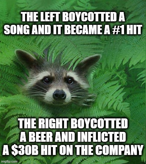 The Not-So-Silent Majority | THE LEFT BOYCOTTED A SONG AND IT BECAME A #1 HIT; THE RIGHT BOYCOTTED A BEER AND INFLICTED A $30B HIT ON THE COMPANY | image tagged in politics,american politics,bud light | made w/ Imgflip meme maker