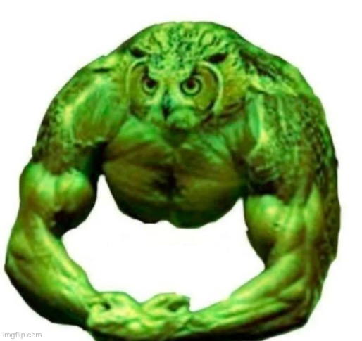 Buff duolingo | image tagged in buff duolingo | made w/ Imgflip meme maker