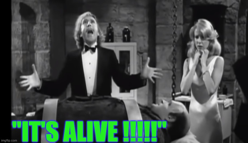 IT's ALIVE ! | "IT'S ALIVE !!!!!" | image tagged in comedy,movies | made w/ Imgflip meme maker