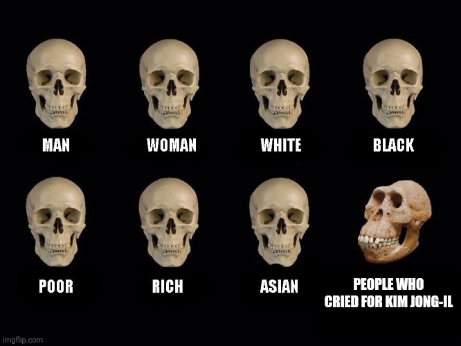 empty skulls of truth | PEOPLE WHO CRIED FOR KIM JONG-IL | image tagged in empty skulls of truth | made w/ Imgflip meme maker
