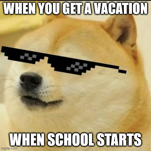 Lucky | WHEN YOU GET A VACATION; WHEN SCHOOL STARTS | image tagged in sunglass doge | made w/ Imgflip meme maker