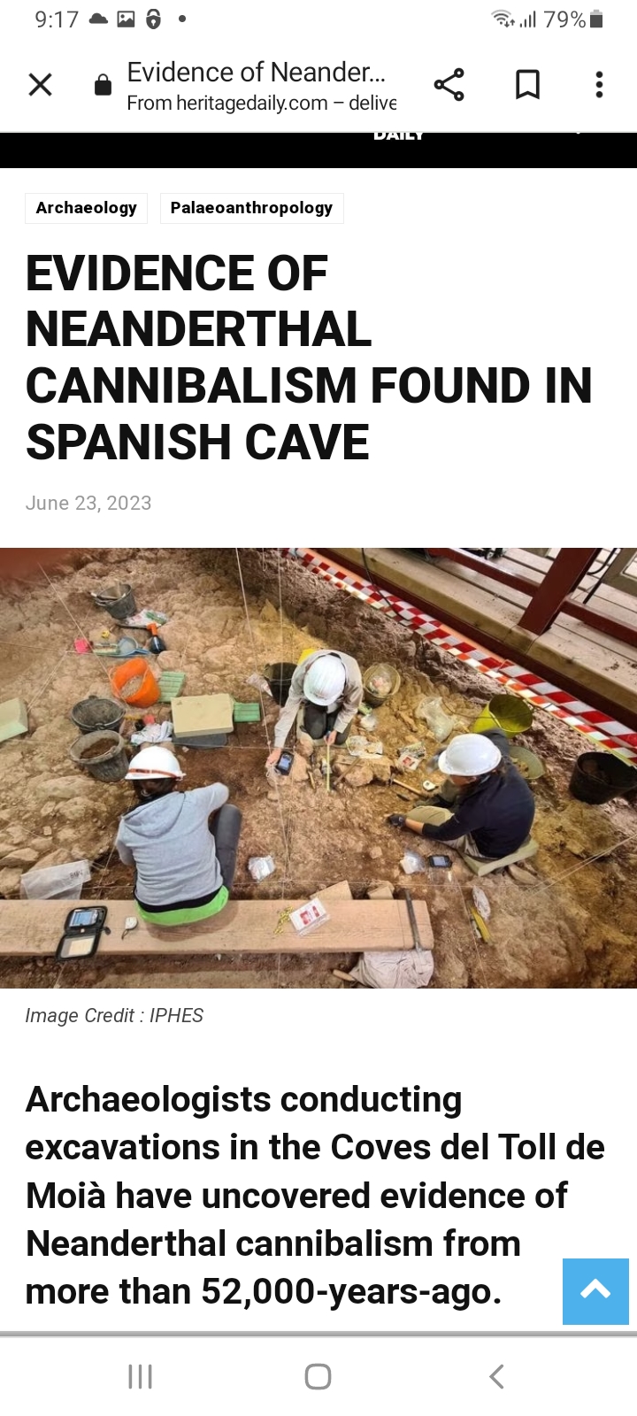 Neanderthal cannibalism Blank Meme Template