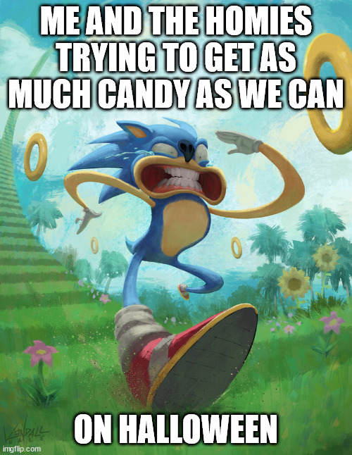 Run sonic | ME AND THE HOMIES TRYING TO GET AS MUCH CANDY AS WE CAN; ON HALLOWEEN | image tagged in run sonic | made w/ Imgflip meme maker