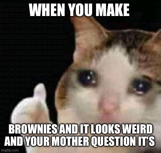 :( | WHEN YOU MAKE; BROWNIES AND IT LOOKS WEIRD AND YOUR MOTHER QUESTION IT’S | image tagged in sad thumbs up cat | made w/ Imgflip meme maker