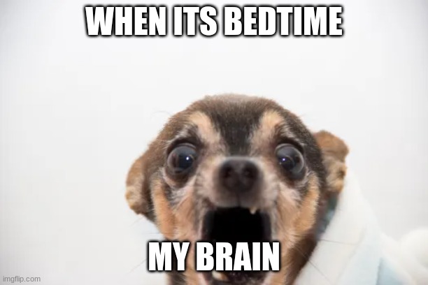 BOW DOWN TO THE MEME QUEEN | WHEN ITS BEDTIME; MY BRAIN | image tagged in memes | made w/ Imgflip meme maker
