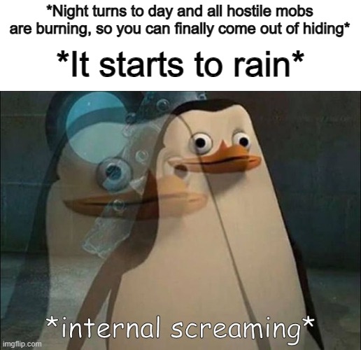 ... | *Night turns to day and all hostile mobs are burning, so you can finally come out of hiding*; *It starts to rain* | image tagged in private internal screaming | made w/ Imgflip meme maker